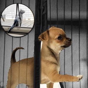 NWT Ideaworks Magic Magnet Screen Door